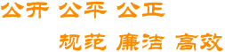 公开公平公正规范廉洁高效
